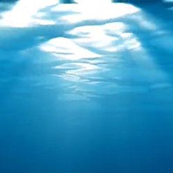 ANIMATION